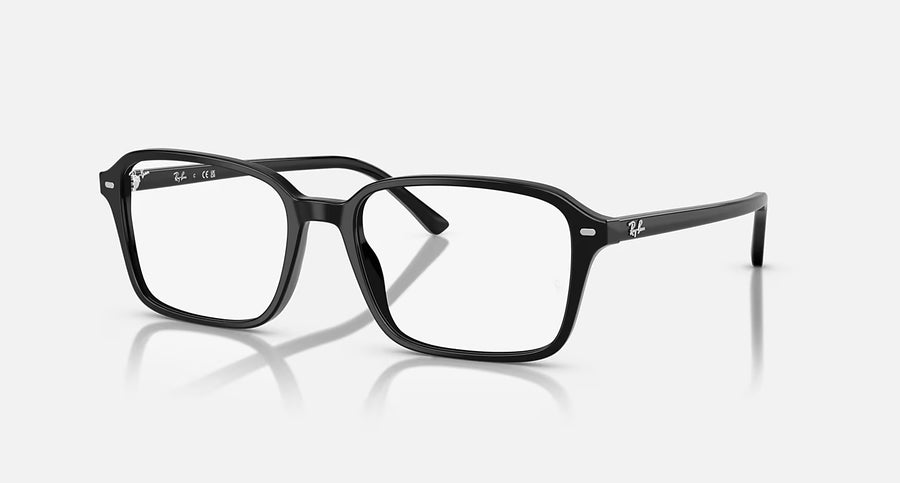 RAIMOND OPTICS
