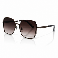 Assach SG 2601 Brown